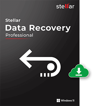 Stellar Data Recovery Professional